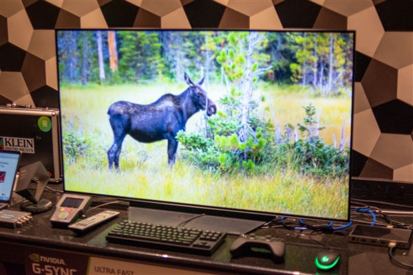 LG推出小尺寸OLED电视：屏幕素质高 可当PC显示器