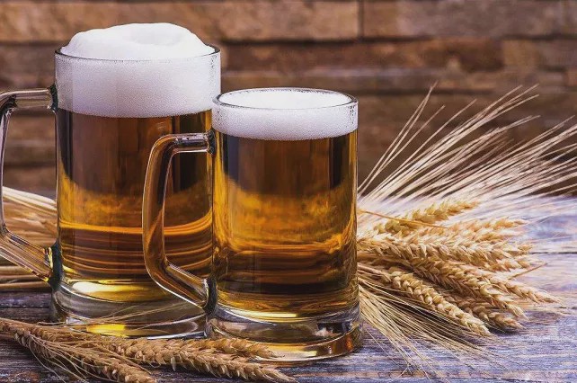 对澳大利亚大麦征收73.6%反倾销税，对啤酒业影响几何？