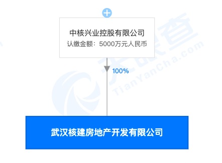 中核兴业武汉子公司开发的中核城五期被点名通报：问题突出工地