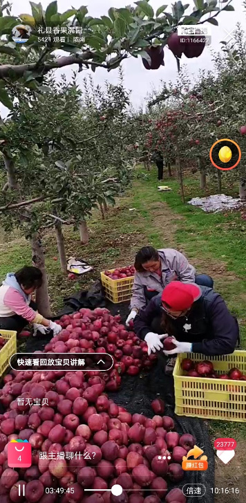 国庆节也是“丰收节”，甘肃59岁大爷淘宝直播7天卖掉5000斤苹果