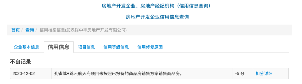 武汉孔雀城锦云航天府项目违规销售商品房开发企业被罚