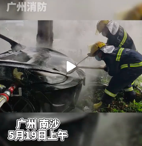 广州一特斯拉Model 3撞树后起火 特斯拉：高速驾驶导致失控
