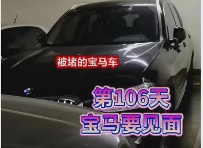 “宝马占路虎车位被堵”为摆拍  “吨姐”两账号被查封