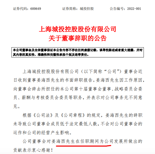 城投控股：董事姜海西辞职增补叶源新董事候选人 董事会同意30亿元融资议案