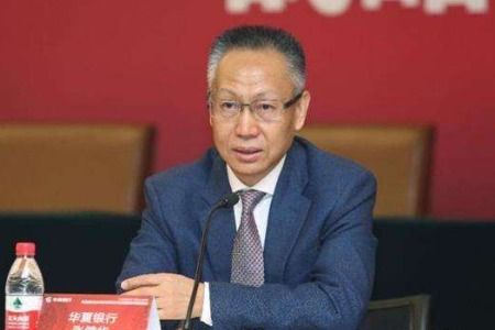 华夏银行行长张健华辞职，十天前副董事长刚辞职