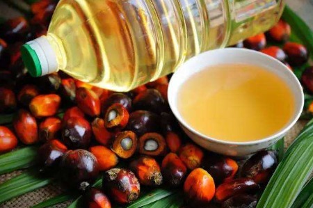 俄乌战争致葵花籽油供应中断 棕榈油成为最贵食用油