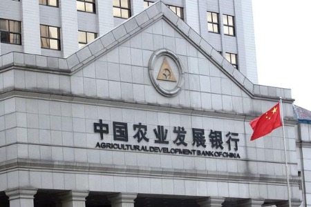 农业发展银行天津市分行副行长张眉接受审查调查