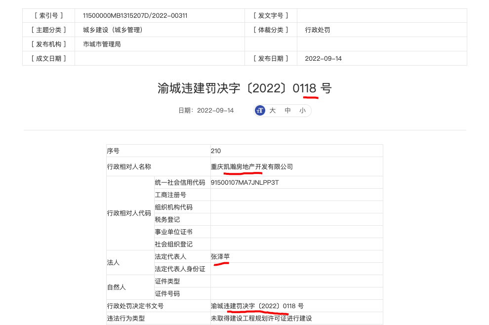 重庆新天泽江上云境项目涉未取得建设工程规划许可证进行建设开发商被罚