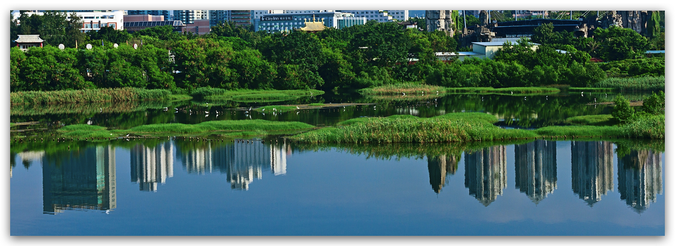 COP14进行时：华侨城湿地获评“明星湿地中心”