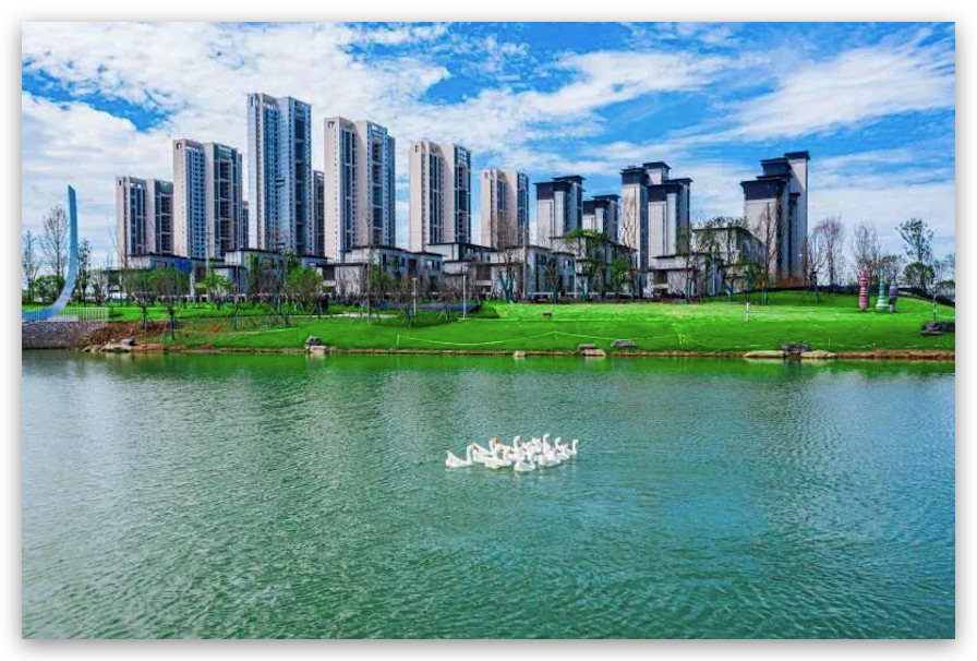 COP14进行时：华侨城湿地获评“明星湿地中心”
