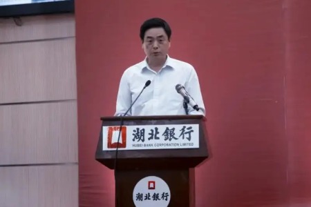 湖北银行股份有限公司原董事长陈大林被开除党籍
